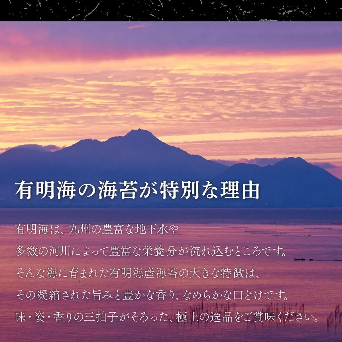 佐賀県産 初摘み焼海苔 7袋セット 佐賀海苔 C-635
