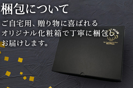 博多和牛サーロインステーキ 250g 黒毛和牛 お取り寄せグルメ お取り寄せ 福岡 お土産 九州 福岡土産 取り寄せ グルメ 福岡県