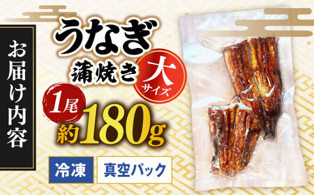 うなぎの蒲焼き 1尾 多治見市/うなぎや[TFO001] ウナギ 