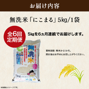 【6ヵ月便】罪悪感は必要ナシ！賢い選択「四万十町産 無洗米」5㎏ にいだまい 米 精米 6回 定期便 高知県産 5キロ ／Sbos-Z02