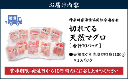 ＜選べる配送月＞【 神奈川県漁連 】 ＜ 小分けパック で 使いやすい ＞切れてる 天然マグロ 100g×10パック  M077-005 冷凍 マグロ