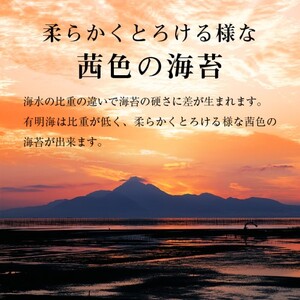 訳あり 福岡有明のり 海苔 福岡有明海産 焼き海苔 合計104枚 2切 8枚×13袋 有明 のり 焼海苔 訳アリ 乾燥 海藻 小分け ごはんのお供