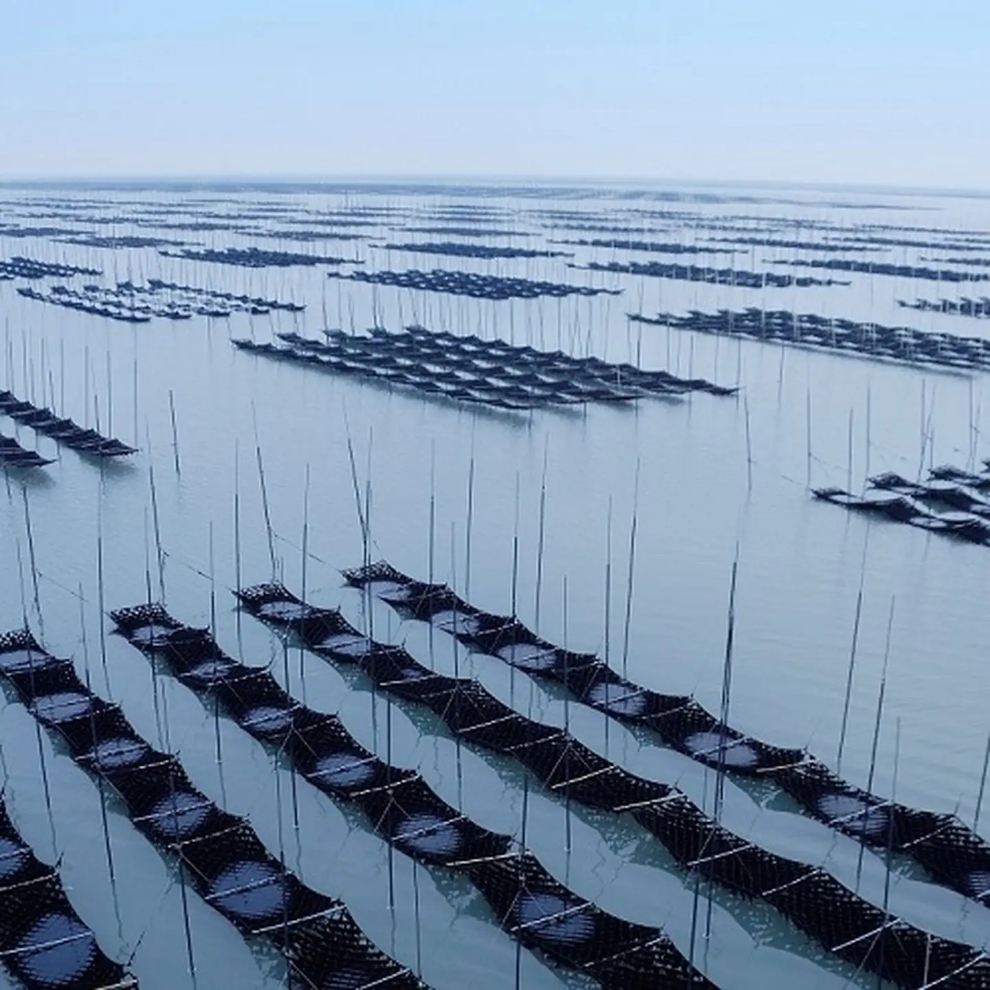 おかずのり 佐賀海苔 4個詰 味付海苔：B110-056