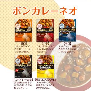ボンカレーネオ 濃厚デミスパイシー 辛口 (200ｇ×30個)【レトルトカレー レトルト カレー 非常食 保存食 長期保存 防災食 備蓄食 災害用品 災害用保存食 防災グッズ 防災用品】