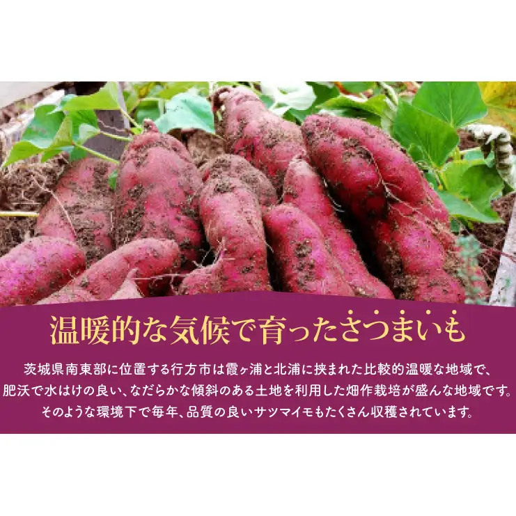 EY-41　紅はるか冷凍焼き芋50袋！！合計8～9kg(電子レンジ対応袋使用)イベント・催事等にも！