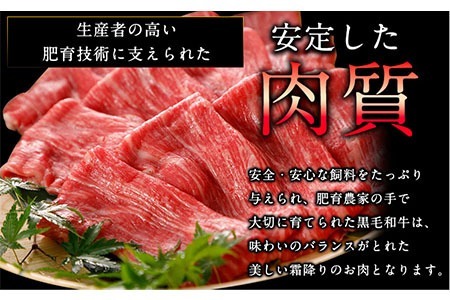 【2ヶ月定期便】牛肉 くまもと黒毛和牛 すき焼き用 500g 長洲町L（桜屋）《お申込み月の翌月から出荷開始》 定期 計2回お届け 熊本県 長洲町 送料無料 黒毛和牛 牛肉 肉 すき焼き
