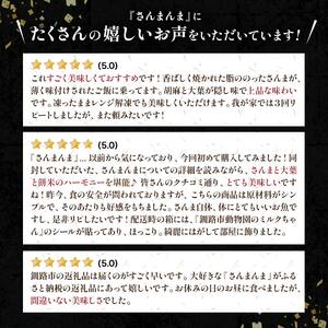 【2か月連続定期便】北海道釧路名物 『さんまんま』 2本セット さんまんま 釧路名物 ご当地グルメ ご当地 北海道 さんま 秋刀魚 F4F-4030