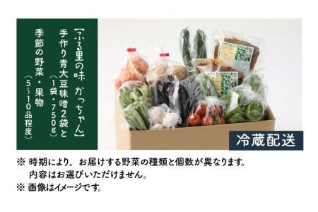 手作り青大豆味噌2袋と季節の野菜5～10種類 [A-020012]