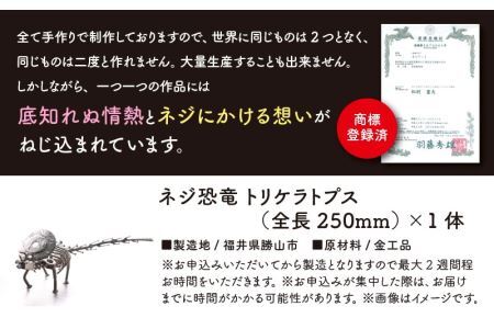 オールステンレスネジ恐竜　トリケラトプス(全長250mm) [A-025003]