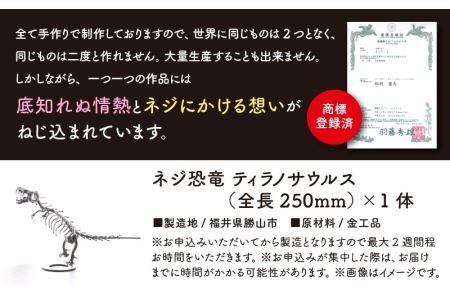オールステンレスネジ恐竜　ティラノサウルス(全長250mm) [A-025001]
