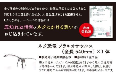 オールステンレスネジ恐竜　ブラキオサウルス(全長540mm) [A-025006]