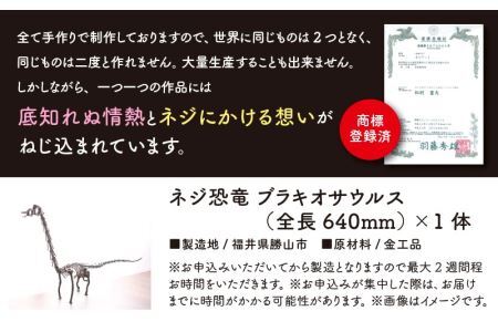オールステンレスネジ恐竜　ブラキオサウルス(全長640mm) [C-025002]