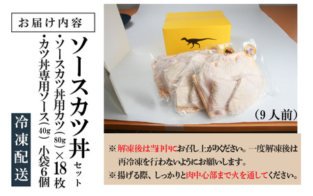 福井名物 ソースカツ丼セット9人前 [A-037020]