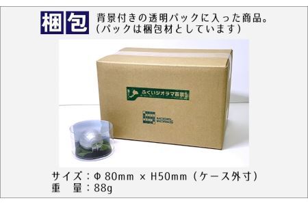 ふくいジオラマ百景　ダイナミック福井県立恐竜博物館 [A-047001]