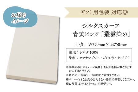草木染め羽二重スカーフ 青黄ピンク 叢雲染め [A-053006]