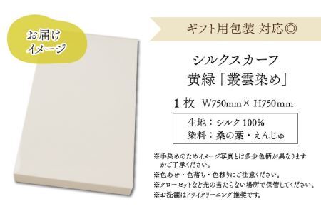 草木染め羽二重スカーフ 黄緑 叢雲染め [A-053001]