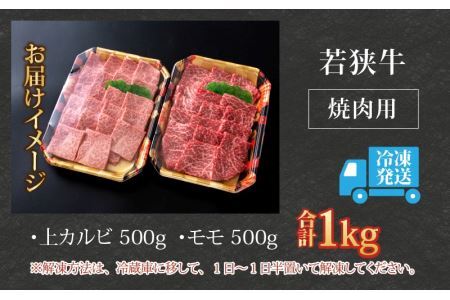 【福井のブランド牛肉】若狭牛 焼肉食べ比べセット 1kg（上カルビ500g×1パック、モモ500g×1パック） [E-058002]
