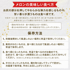 ＜2026年先行予約＞ タカミメロン 青肉&赤肉 計2玉 メロン メロン メロン メロン メロン メロン