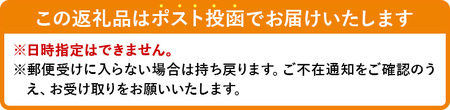 ＜お試し＞ 半生うどん (300g/極太・つゆ付) 本場 讃岐 香川県 麺 コシ 常温 【man163】【こんぴらや販売】