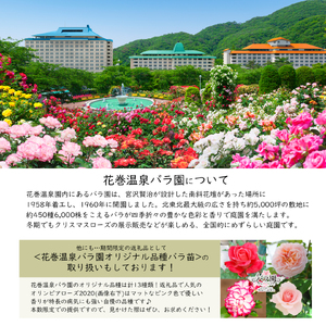 ＜色で選べる♪＞花巻温泉バラ園で育った「バラ中苗」5号サイズ -黄-【1858】<2026年3月より発送>