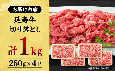 熊本県産 延寿牛 あか牛 切り落とし 約 250g×4P【有限会社 九州食肉産業】[ZDQ083]