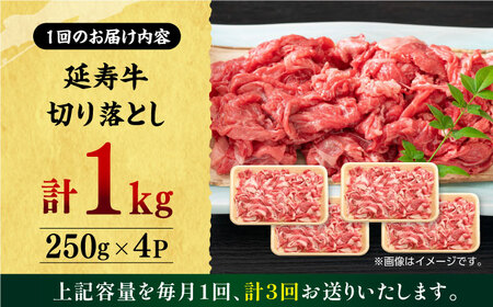 【3回定期便】熊本県産 延寿牛 あか牛 切り落とし 約 250g×4P【有限会社 九州食肉産業】[ZDQ101]