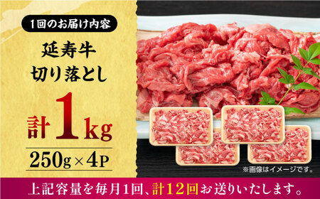 【12回定期便】熊本県産 延寿牛 あか牛 切り落とし 約 250g×4P【有限会社 九州食肉産業】[ZDQ137]