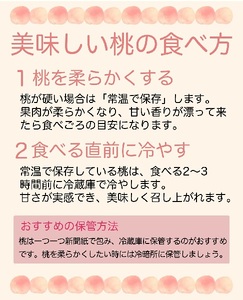 ＜先行予約＞白桃 川中島 3kg 9～12個 秀品 【2026年8月下旬発送】 農家直送 山形県 朝日町産 山形産 もも モモ 桃 ピーチ 果物 フルーツ 夏 送料無料 糖度 クール便 冷蔵便