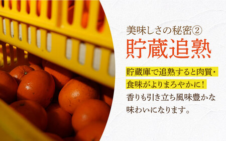 【ご家庭用】 せとか 約3kg ー2027年3月より発送ー 長与町/果豊園  [ECL003]  みかん ミカン 柑橘 かんきつ フルーツ 果物 完熟 季節限定 家庭用 先行予約 長崎県産 長与町