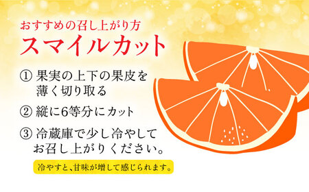 【2026年12月先行予約】【家庭用】みはや 約3kg[ECL004] 長崎 長崎みかん