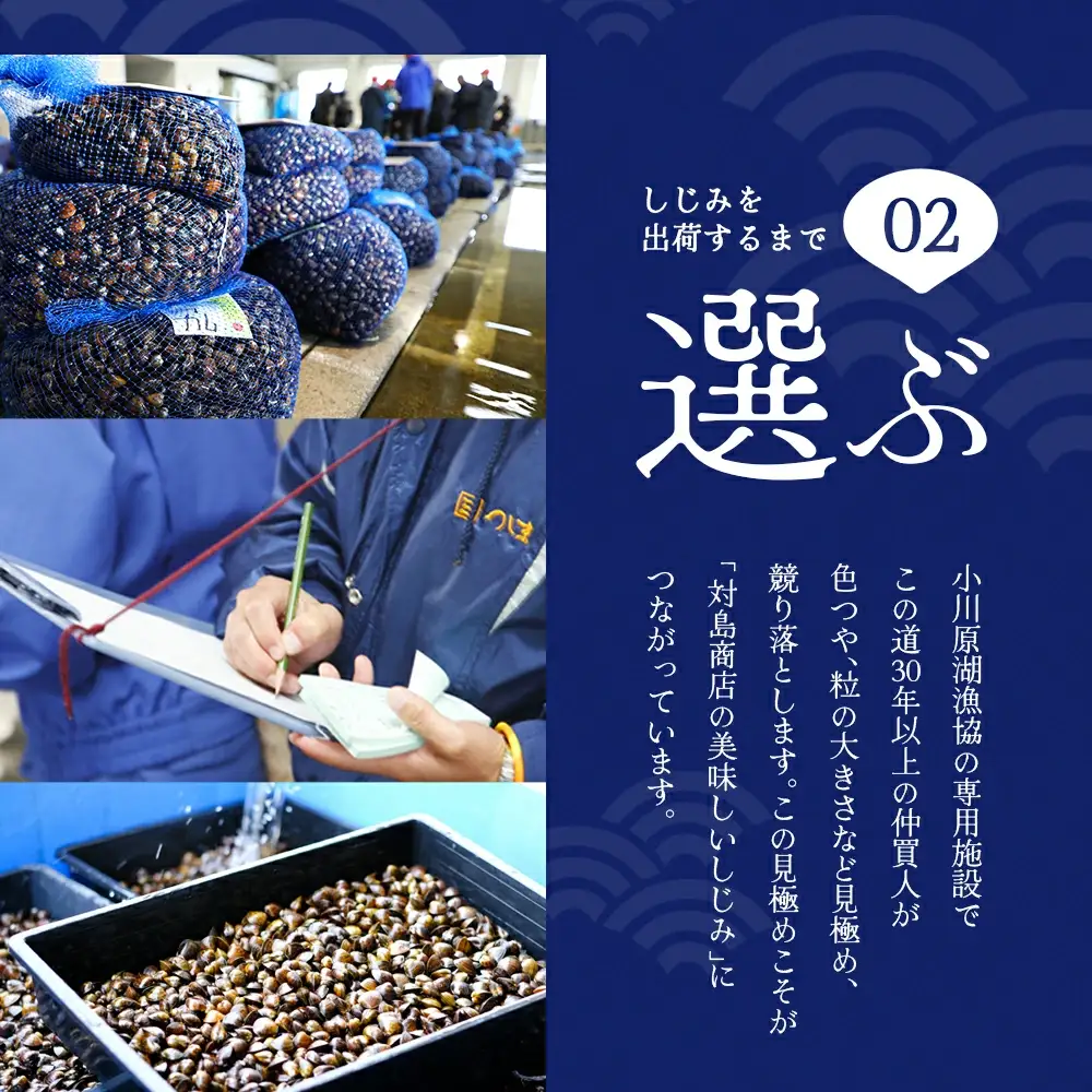 砂抜き済みで手間いらず！冷凍・小川原湖産大和しじみ2kg（500g×4袋）　【02408-0084】
