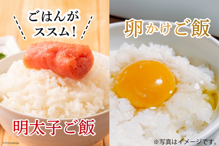 6回 定期便 米 宮城県産 3種 食べ比べセット ササニシキ & だて正夢 & つや姫 各2kg 総計 36kg [菊武商店 宮城県 気仙沼市 20564934]