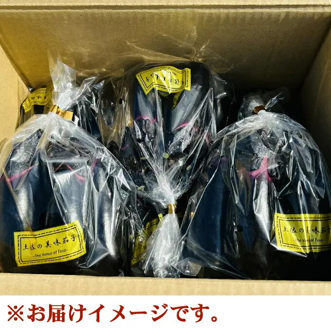 農家直送　土佐の美味茄子の新鮮ナス　４．５kg　（室戸海洋深層水にがり使用） 野菜 なす ナス 常温 小袋 国産 夏野菜 茄子 小分け 旬  高知 15000