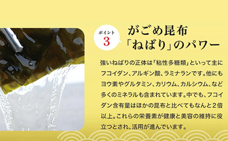 おいしい根こんぶだし　6本セット