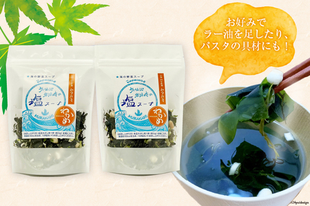 気仙沼 岩井崎の塩 スープ 40g×2袋（約16杯分） [ムラカミ 宮城県 気仙沼市 20564108]