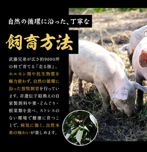 菊池やまあいの豚小間スライス 2kg 《90日以内に出荷予定》(土日祝除く)》1パック200g 豚肉 豚小間 スライス済み 小分け 熊本県産 九州産 国産 冷凍 送料無料