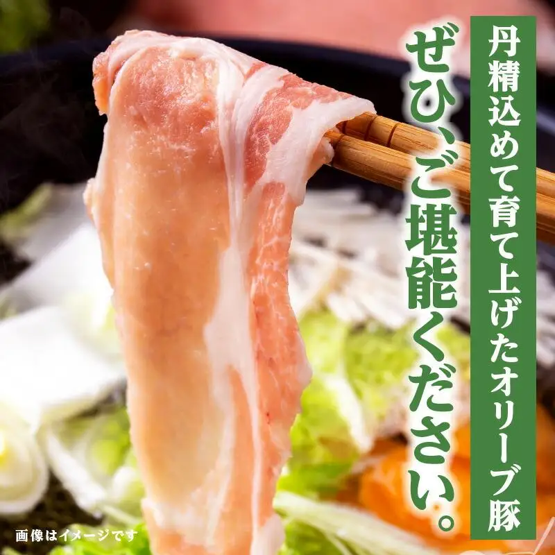【3ヶ月定期便】しゃぶまるセット　オリーブ豚定期便