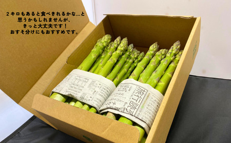KY02 朝採りアスパラガス 約2kg （冷蔵便） ／ 2026年4月中旬頃～順次発送 // 長野県産 南信州産 春アスパラ 夏アスパラ アスパラ 野菜
