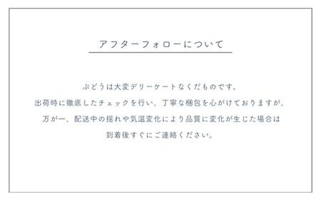 TK06　ぶどう シャインマスカット 約2kg ／2026年9月上旬頃から10月初旬配送予定 // 長野県 南信州 葡萄 種なし シャイン マスカット 高品質 贈答 ギフト 高地栽培 2kg