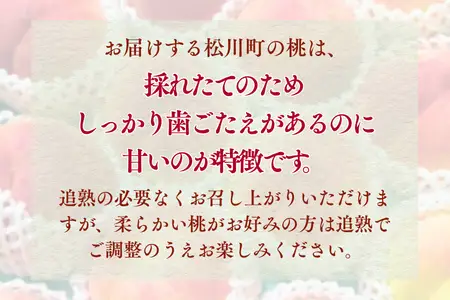 JA02 桃 あかつき 約3kg / 2026年7月下旬～8月上旬頃 配送予定 // 贈答 センサー選別 糖度センサー 桃 もも 果物 フルーツ ギフト あかつき 太鼓判 優糖生