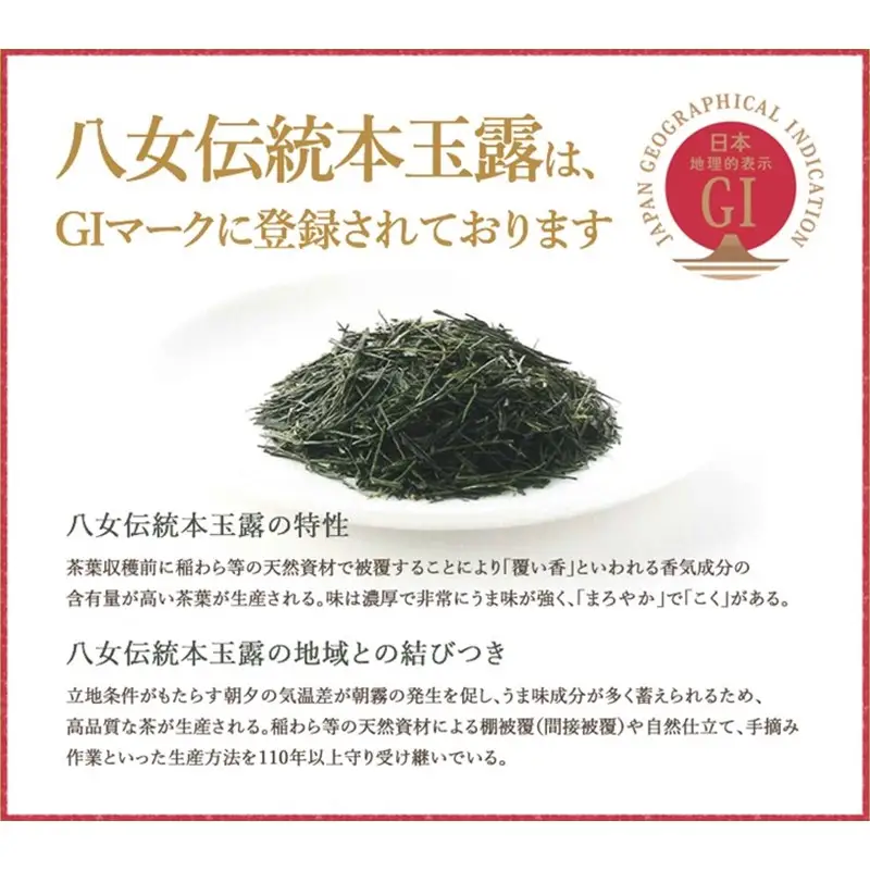 八女星野玉露ティーバッグ（50パック）【A5-251】