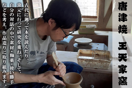 唐津焼 唐津曜変平盃 さかずき 平盃 曜変 曜変天目 酒器 日本酒  ギフト