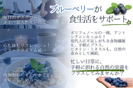 KB01 ブルーベリー 約1.2kg ／2026年6月下旬頃から発送予定//南信州 国産 長野県産 ブルーベリー 大粒 甘い 人気 新鮮 厳選 贈答