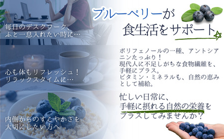 KB05 冷凍ブルーベリー 約1kg【2Lサイズ以上】／2026年8月上旬頃から順次発送｜ 長野県 南信州 松川町 摘みたて 朝摘み 新鮮 安全 産地直送 農家直送 大粒 2Lサイズ以上 冷凍 ブルーベリー 果物 フルーツ