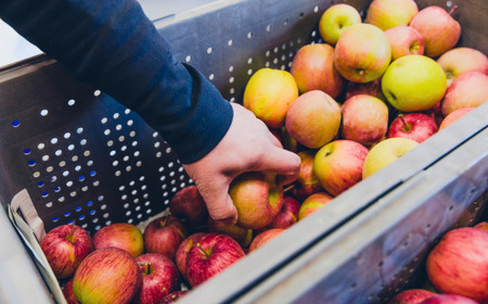 VI01　VinVieシードル（750ml）// 長野県 南信州 シードル 辛口 7% りんごのお酒 リンゴ 洋梨 やや辛口 贈答 ギフト 