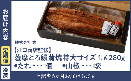 2173-1 【江口商店監修】薩摩とろ鰻蒲焼特大サイズ一尾 280g（6ヶ月定期） KN084-T01 魚 鰻