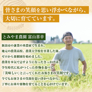こしひかり 精米 5kg 新潟産 コシヒカリ 米 お米 こめ コメ 白米 産地直送 新潟県産 新潟県 新潟 