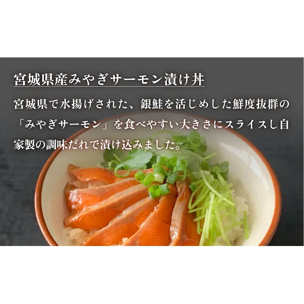 みやぎの海の幸 ごはんの素3種セット 金華さば みやぎサーモン 漬け丼 カンタン調理 牡蠣 炊き込み 混ぜ込み 宮城 石巻 本田水産