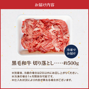 S001-033_A4～A5等級 黒毛和牛 切り落とし 500g（1P）
