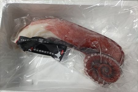 【北海道根室産】刺身用真だこ足800g～1.2kg前後×1本 A-57059
